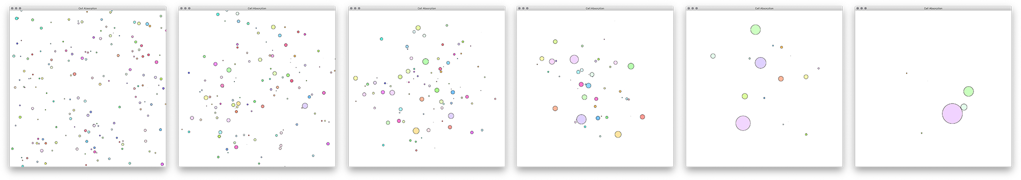sequence of circular cells swimming and absorbing each other
